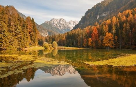 Logarska Dolina view